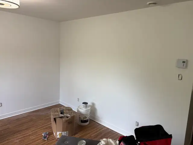 Interior Painter522141456223457281