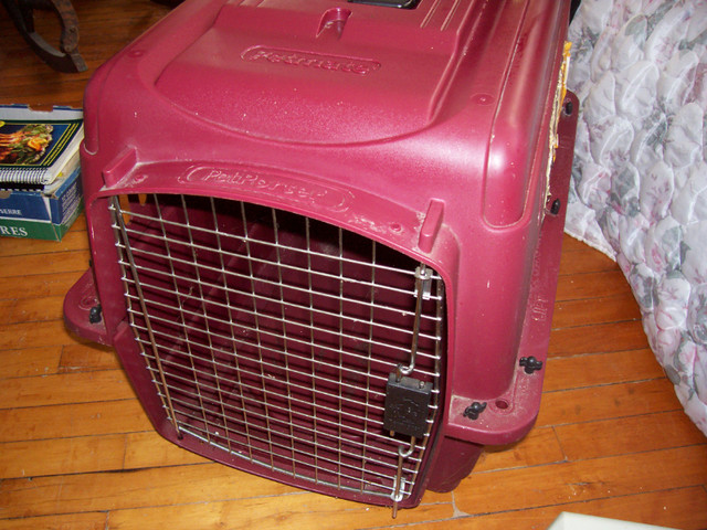 Petmate pet carrier portable kennels in Accessories in Trenton - Image 3