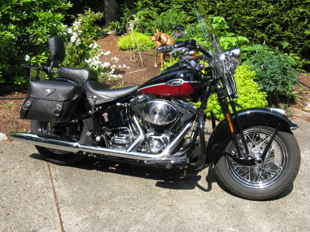 Harley Davidson Softail/Dyna Parts in Motorcycle Parts & Accessories in Comox / Courtenay / Cumberland - Image 4