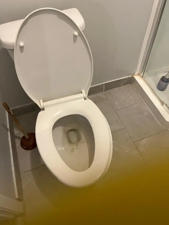 AffordableCleaningLady577848556075110403