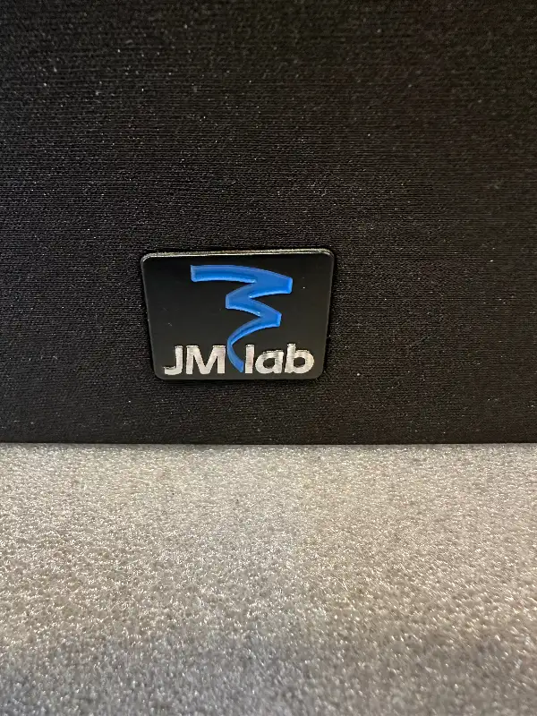 Speaker in Speakers in Markham / York Region - Image 7