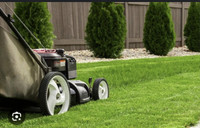 Looking for grass cutting/property maintenance work Orleans area