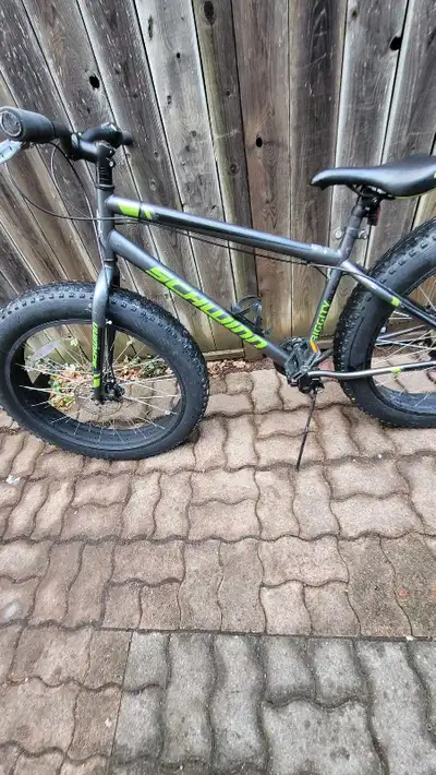 Schwinn fat bike (adults size 26 tire), View more