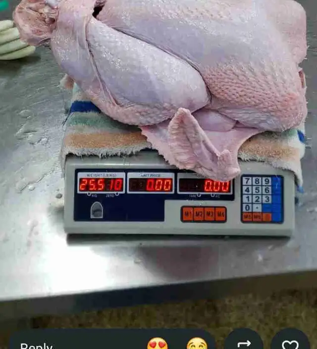 Turkeys for sale 