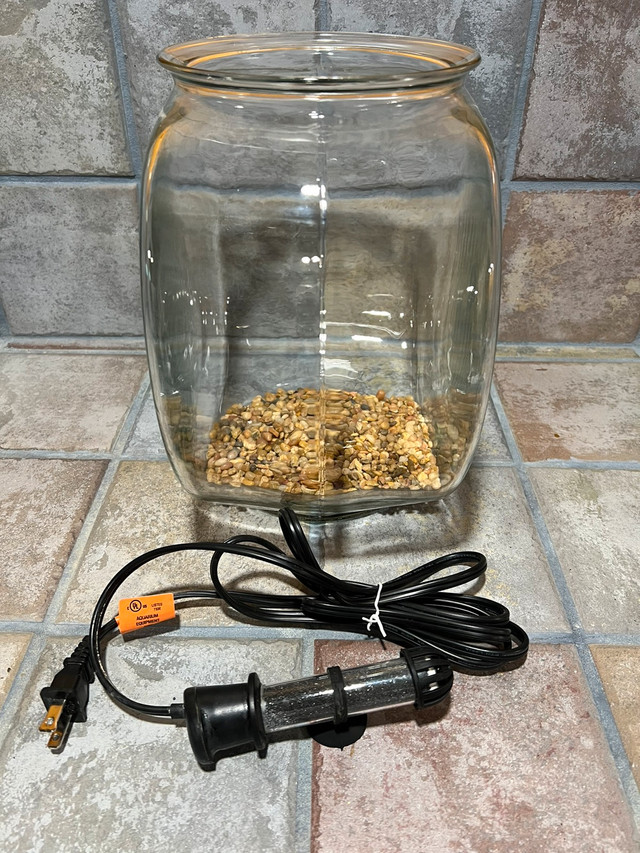 2 gallon glass fish bowl for sale in Fish for Rehoming in Oshawa / Durham Region - Image 2