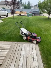 Lawn Care and Landscaping 