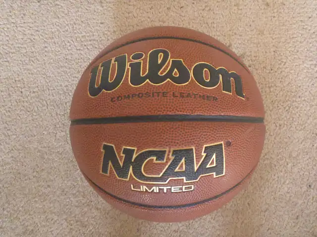 Wilson Basketball