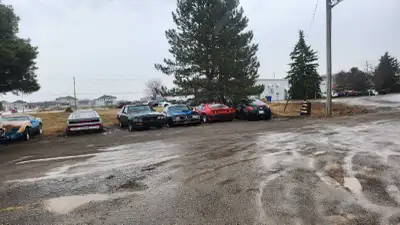 I have to sell cars. I have no storage and need to get things moving. Please respond if you are seri...