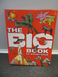 THE BIG BOOK OF KNOWLEDGE - JUNIOR