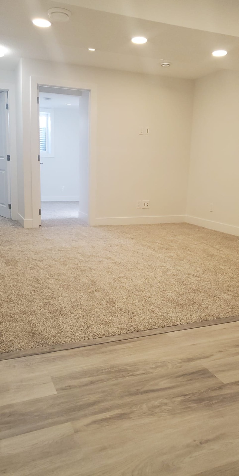 Savanna N.E. 2 Bedroom basement suite 3