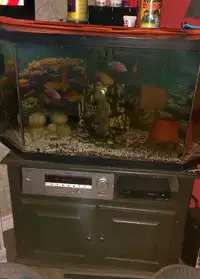 65 Gallon Corner Aquarium 