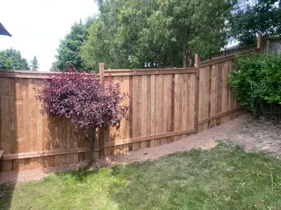 Fencing & Post change, View more