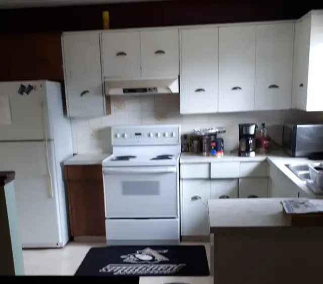 large room huge window utilities included July 1st kelowna62863330795139123