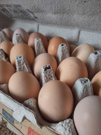Hatching eggs