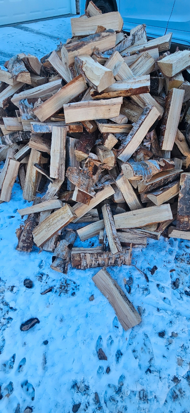 Firewood for sale Birch in Fireplace & Firewood in Winnipeg - Image 2