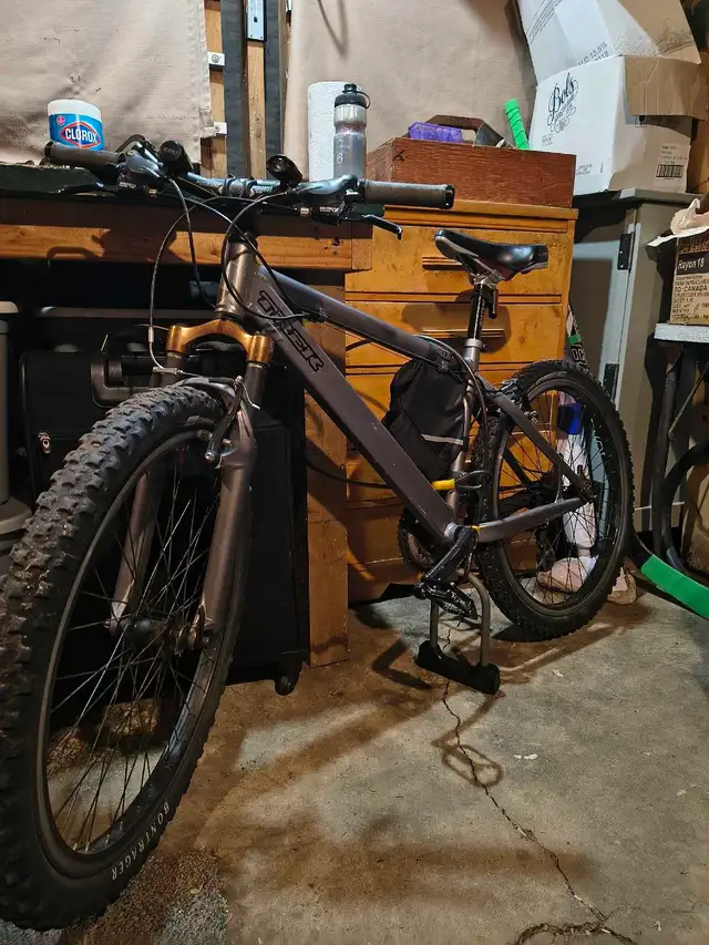 Trek Bruiser428495639727974400