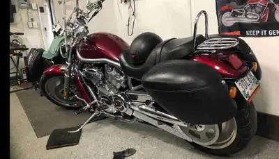 2004 Harley Davidson V-Rod VSRCA. 34000 KM New Battery Fall 2024, New Generator 2023, New Spark Plug...