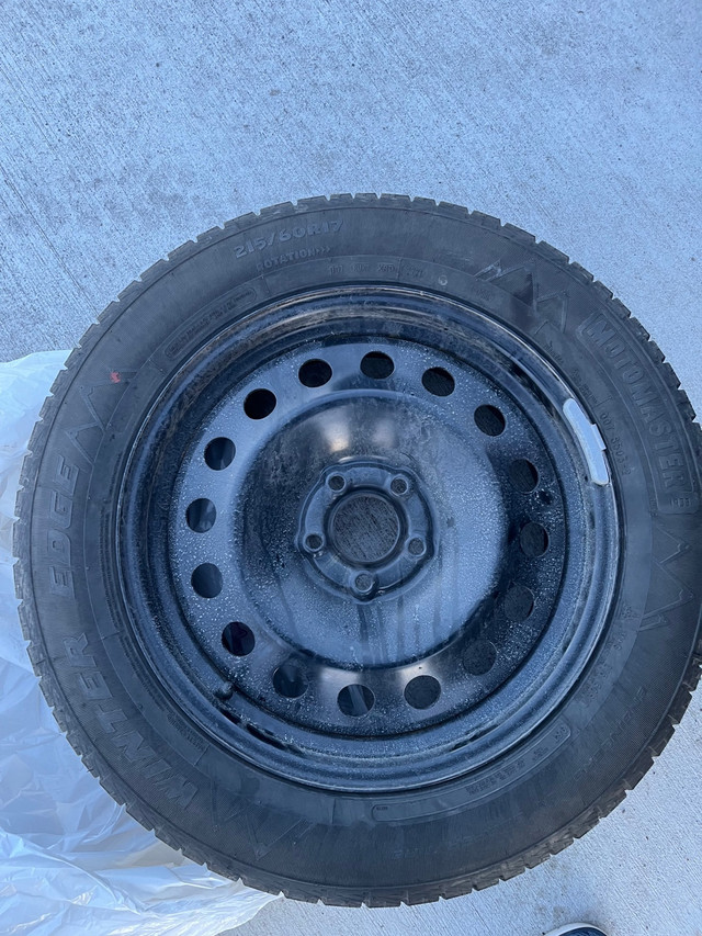 4 x Motormaster winter tires  in Tires & Rims in Sarnia