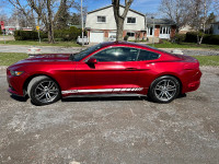 Ford Mustang 2015 Ecoboost Rouge Bas Millage
