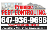 PROMISE PEST CONTROL - 647 936 9696 -Hamilton Area Lowest Price