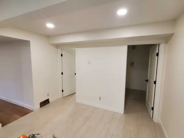 PLATINUM PRO PAINTING65561282463489123