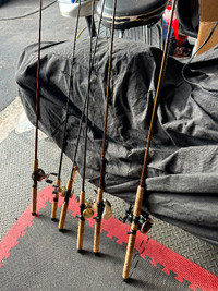 Fishing rods and reels for sale