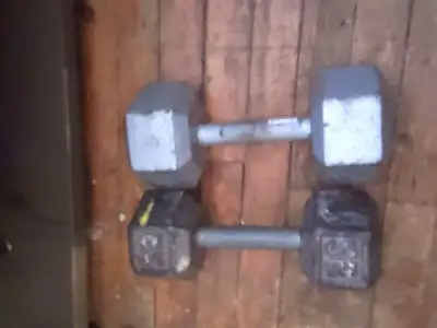 two 25 lbs dumbbells for sale, View more