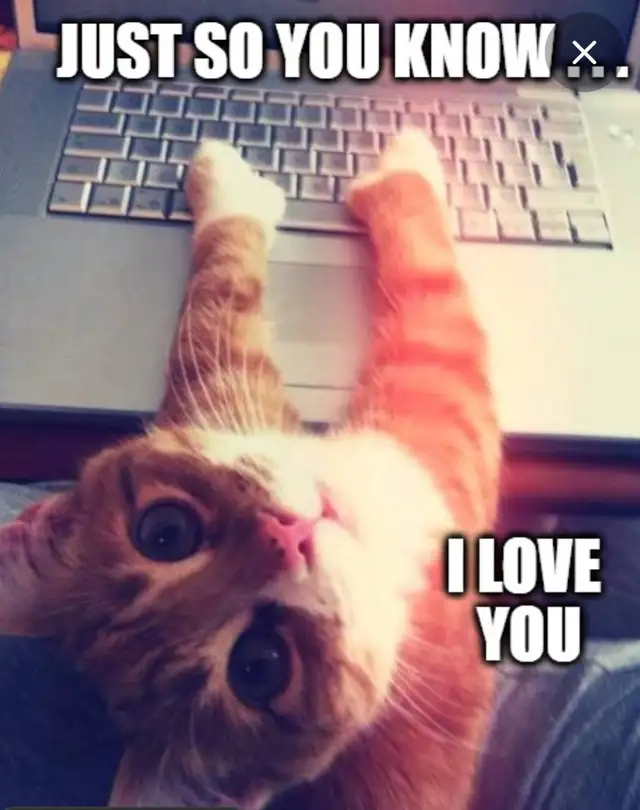 Hope you had a good Day Day ,!64639728833795120