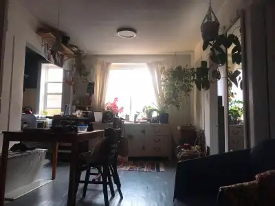 July and August Sublet Mile End Montreal $1000