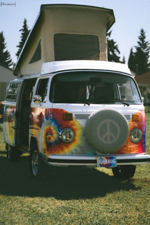 1974 Volkswagen Bus / Vanagon