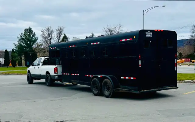 Remorque Chevaux 4places in Accessories in Lanaudière - Image 2