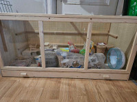 Hamster Enclosure and accessories for sale