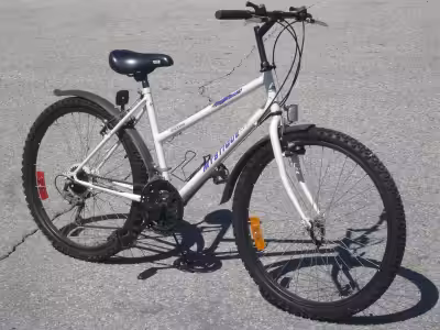 Spring cleaning today & found this ladies 26" Mystique Northland mtb bike that won't be used again....
