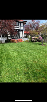 Lawn Care and Garden Maintenance