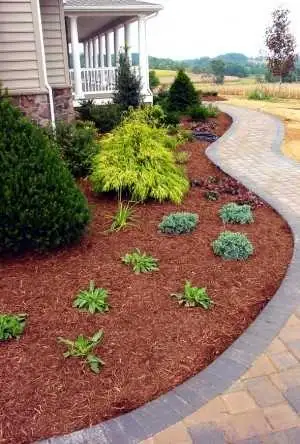 Mulching Service  in Plants, Fertilizer & Soil in City of Toronto - Image 3