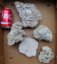 11 mcx de roche corail blanc eau salée 11 x White coral rocks