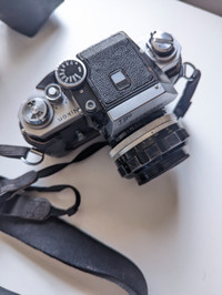 Collectible Film Camera Bundle