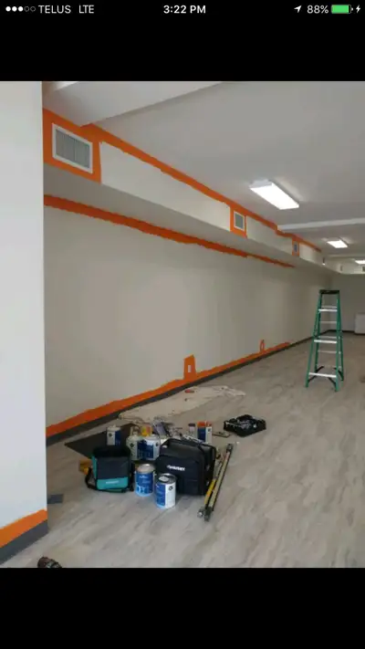 All Drywall problems ——install Mud/tape Painting Mold treatment Water leak damages Big or small 4168...