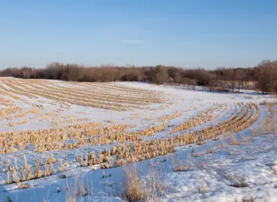 Looking for farm land for rent or sale near Winchester/limoges/embrun/crysler/brinston/finch/southmo...