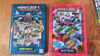 2 MineCraft Books