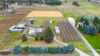 Country Living at Its Finest! 3-Acre Property with Orchard!