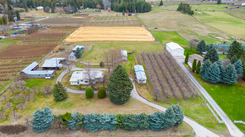 Country Living at Its Finest! 3-Acre Property with Orchard! in Houses for Sale in Cranbrook