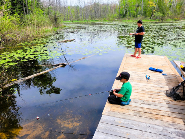 Waterfront Property Near Beach in Land for Sale in Owen Sound - Image 4