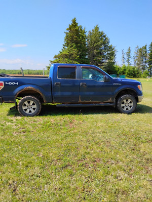 2010 Ford F 150