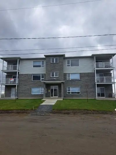 Un immeuble d'exception composé de 12 condos locatifs de 1,245 pc de surface habitable. Non-fumeurs...
