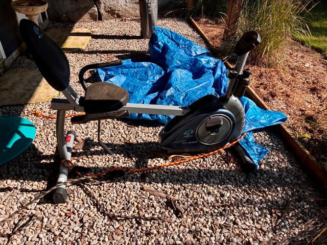 FREE RECUMBENT EXERCISE BIKE in Free Stuff in Owen Sound - Image 2