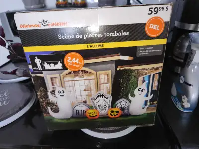 The blow up is new $50the other stuff is from the dollar store total $40 If ur interested in more pl...