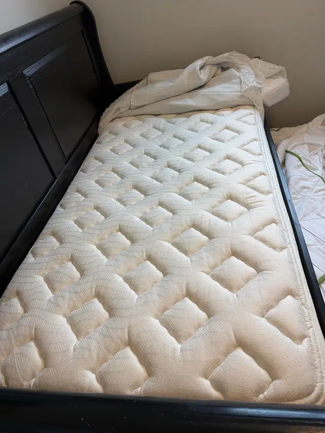 day bed with  2 single mattress  in Beds & Mattresses in Delta/Surrey/Langley - Image 4