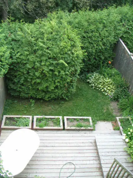 Comfortable townhouse for rent in Kanata. Two minutes to the 417 in Long Term Rentals in Ottawa - Image 15