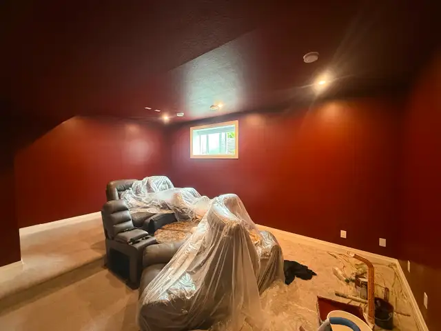 Pro painters for less